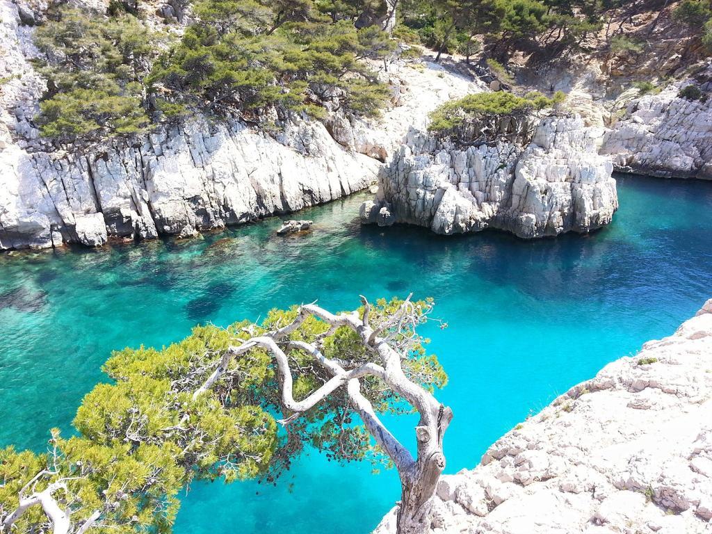 La Palmeraie Marseille Exteriör bild