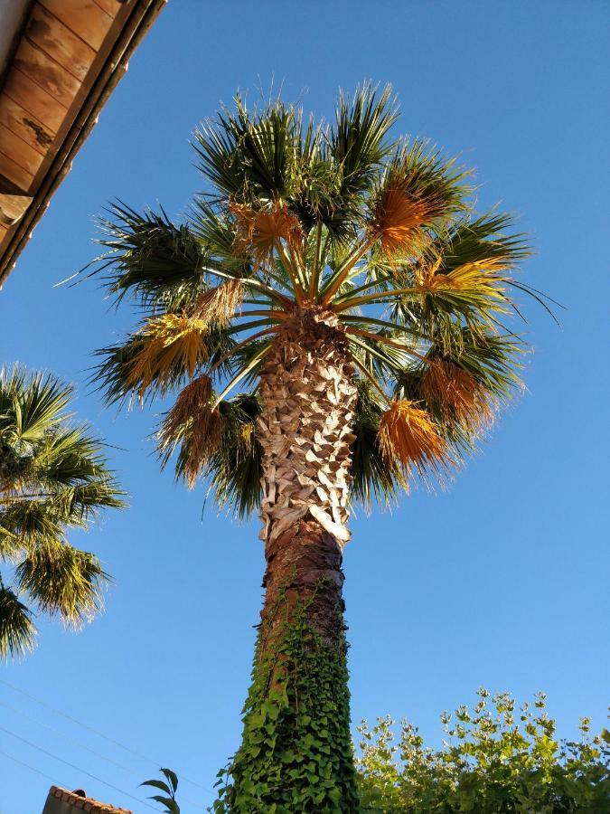 La Palmeraie Marseille Exteriör bild