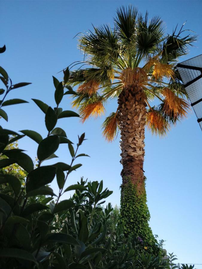 La Palmeraie Marseille Exteriör bild